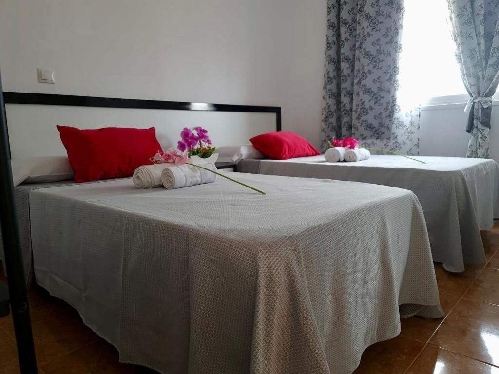 Franmay Apartments - 7 Modern Apartments Near The Beach & City, Perfect For Nomads, Travellers, Families, Watersports! Santa Maria Bagian luar foto