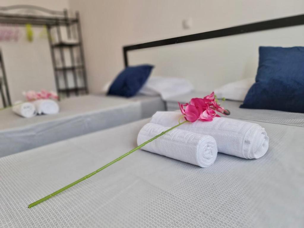 Franmay Apartments - 7 Modern Apartments Near The Beach & City, Perfect For Nomads, Travellers, Families, Watersports! Santa Maria Bagian luar foto